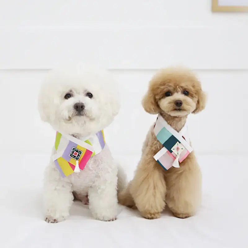 ITSDOG - Saekdong Embroidered Hanbok Cape - ITSDOG - Pet Clothes - Harumio
