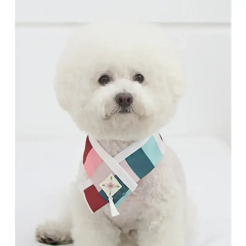 ITSDOG - Saekdong Embroidered Hanbok Cape - ITSDOG - Pet Clothes - Harumio