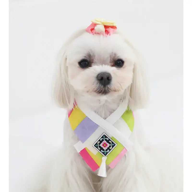 ITSDOG - Saekdong Embroidered Hanbok Cape - ITSDOG - Pet Clothes - Harumio