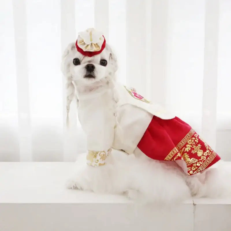ITSDOG - Pet Hayoung Dangui Hanbok - ITSDOG - Pet Clothes - Harumio