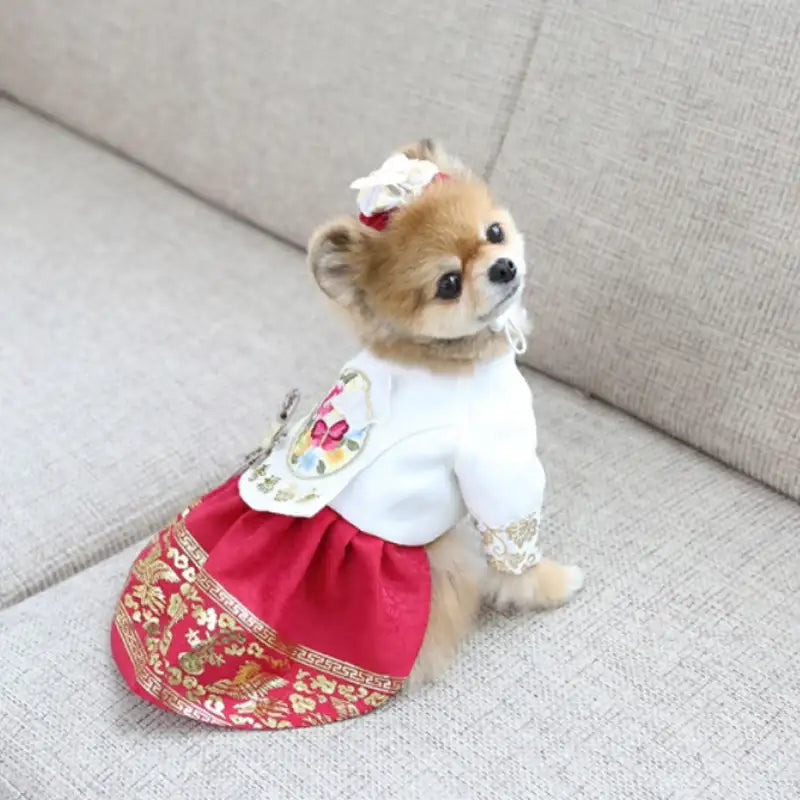 ITSDOG - Pet Hayoung Dangui Hanbok - ITSDOG - Pet Clothes - Harumio