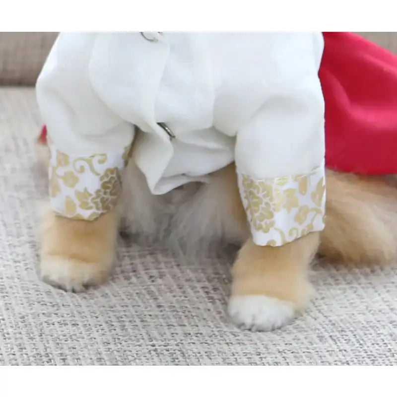 ITSDOG - Pet Hayoung Dangui Hanbok - ITSDOG - Pet Clothes - Harumio