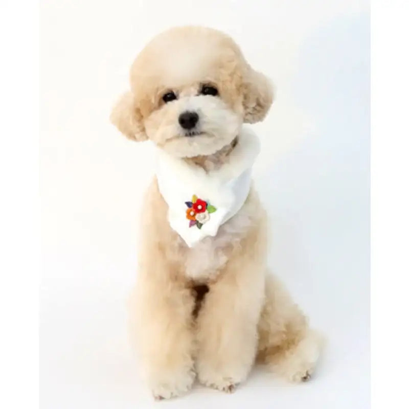 ITSDOG - Junghwa Quilted Pet Hanbok Shawl - ITSDOG - Pet Clothes - Harumio