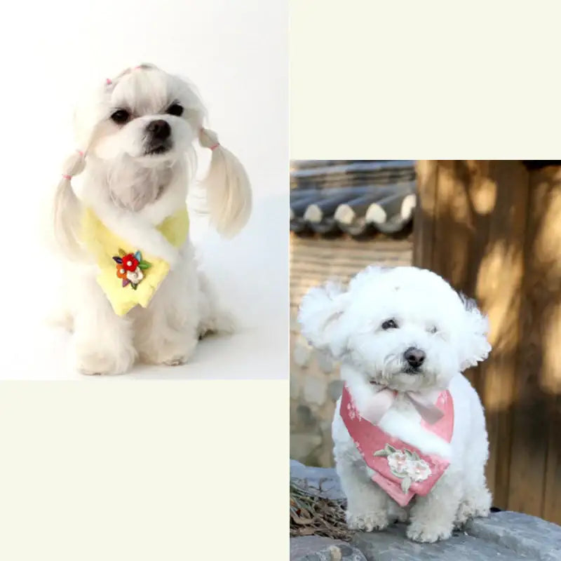ITSDOG - Junghwa Quilted Pet Hanbok Shawl - ITSDOG - Pet Clothes - Harumio