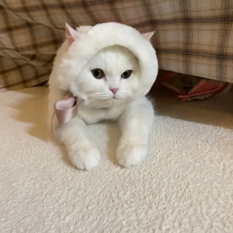 ITSDOG - Junghwa Quilted Pet Hanbok Hat - ITSDOG - Pet Clothes - Harumio