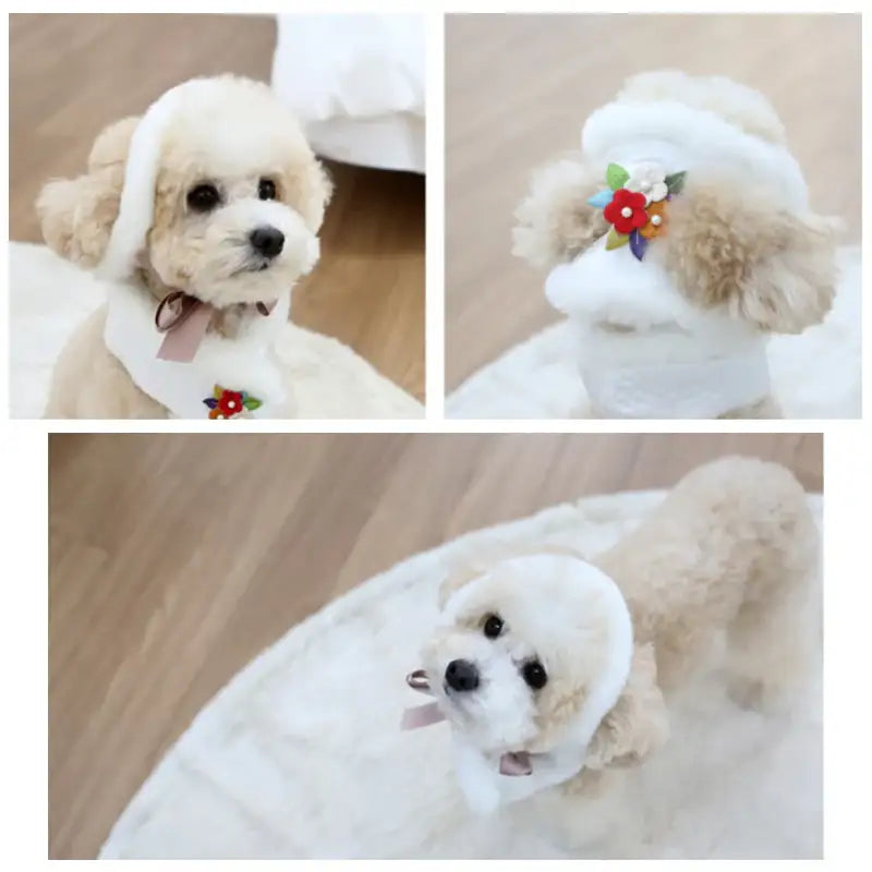 ITSDOG - Junghwa Quilted Pet Hanbok Hat - ITSDOG - Pet Clothes - Harumio