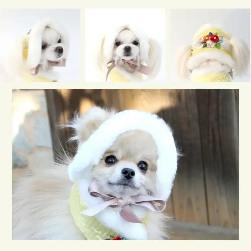 ITSDOG - Junghwa Quilted Pet Hanbok Hat - ITSDOG - Pet Clothes - Harumio