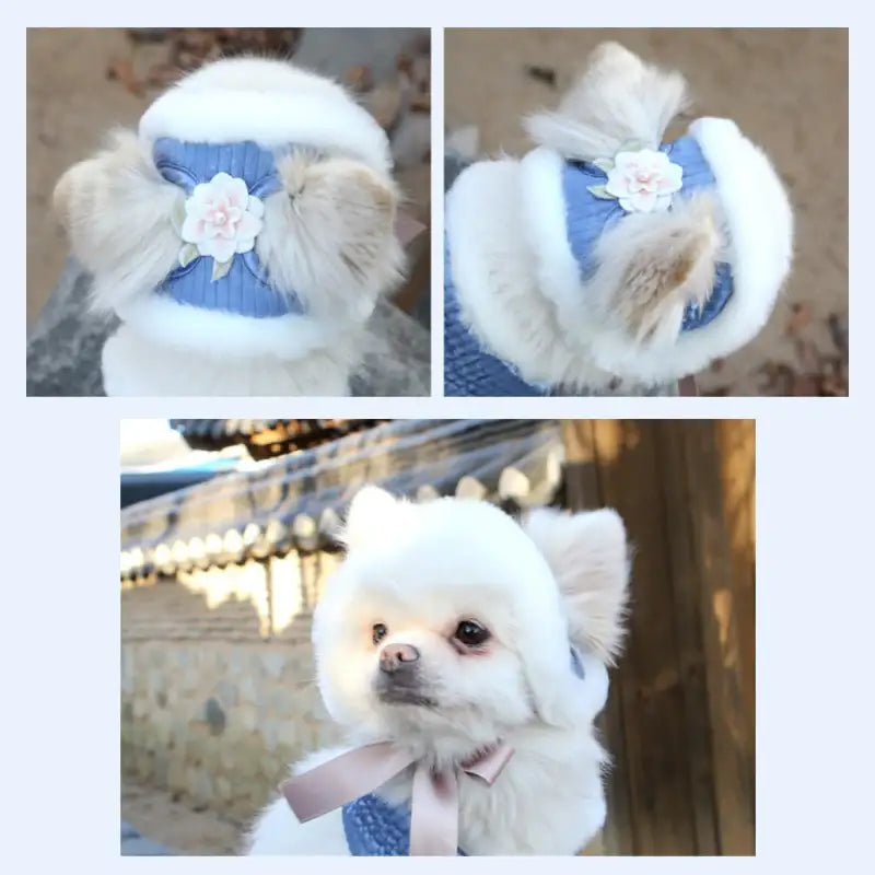 ITSDOG - Junghwa Quilted Pet Hanbok Hat - ITSDOG - Pet Clothes - Harumio