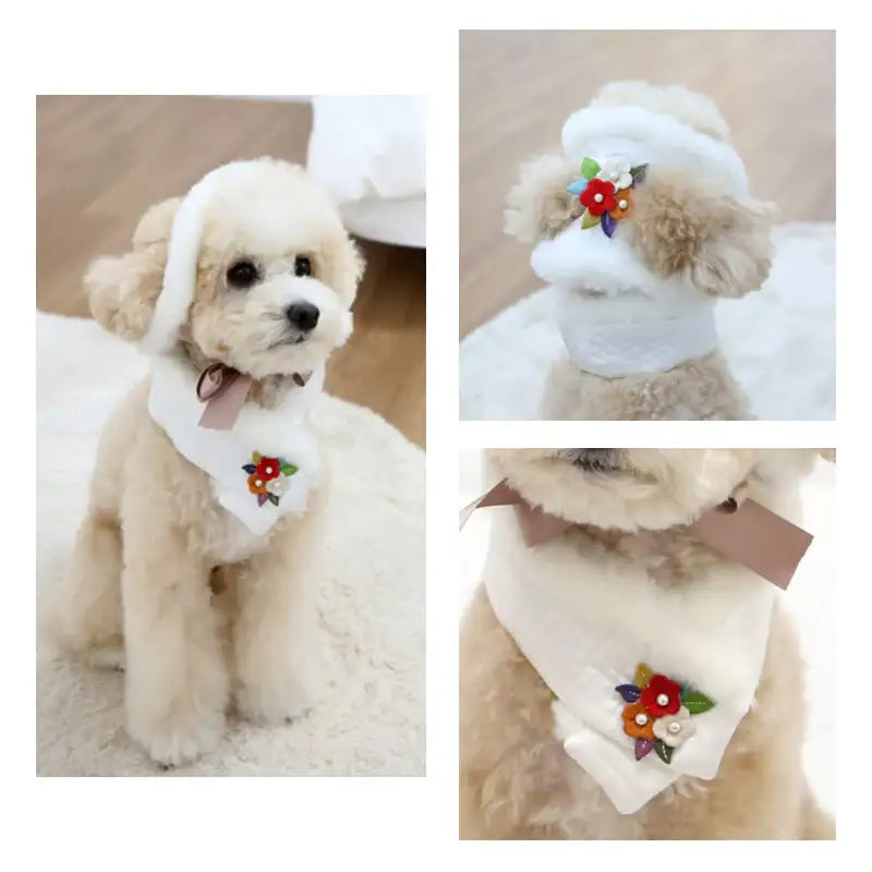 ITSDOG - Junghwa Quilted Pet Hanbok Set - ITSDOG - Pet Clothes - Harumio