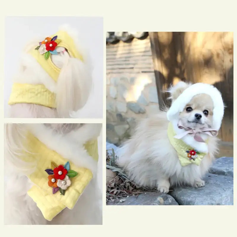 ITSDOG - Junghwa Quilted Pet Hanbok Set - ITSDOG - Pet Clothes - Harumio