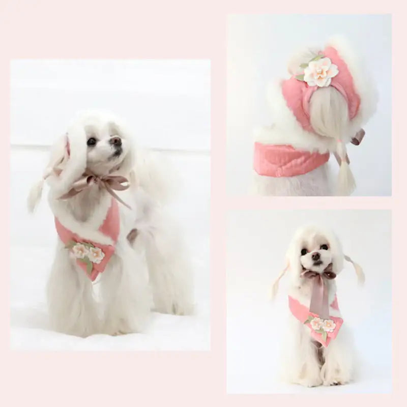 ITSDOG - Junghwa Quilted Pet Hanbok Set - ITSDOG - Pet Clothes - Harumio