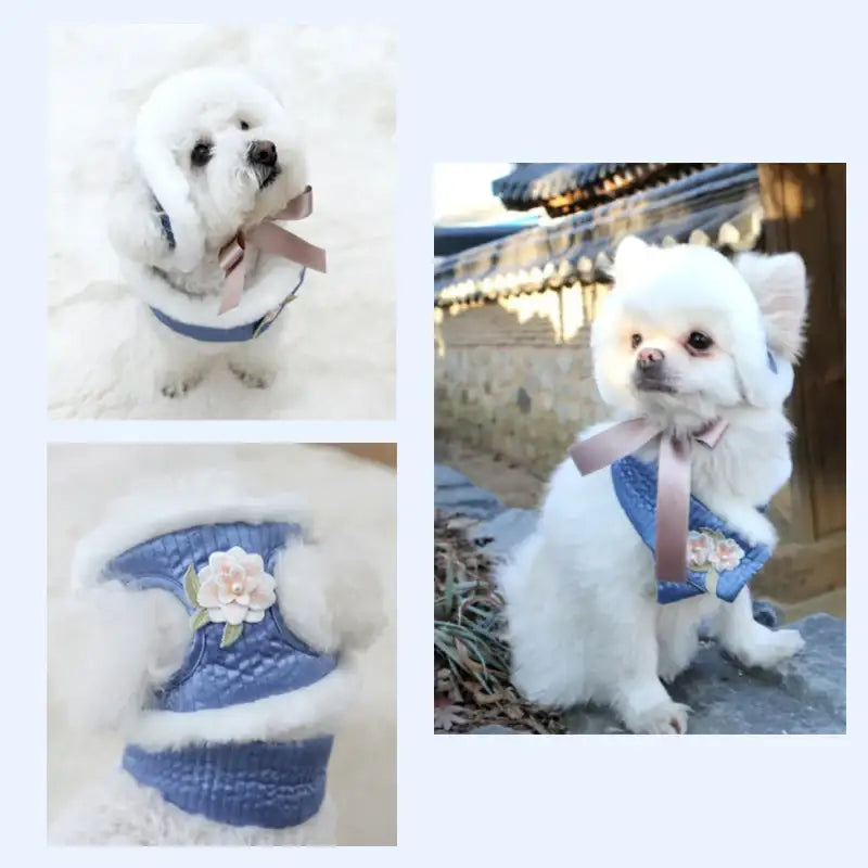 ITSDOG - Junghwa Quilted Pet Hanbok Set - ITSDOG - Pet Clothes - Harumio