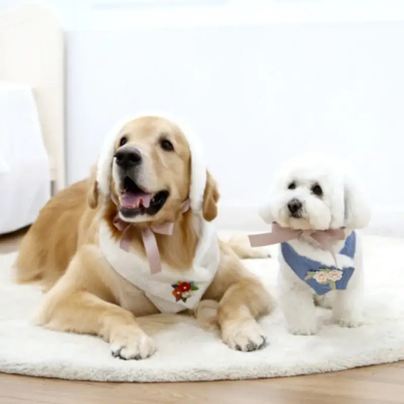 ITSDOG - Junghwa Quilted Pet Hanbok Set - ITSDOG - Pet Clothes - Harumio