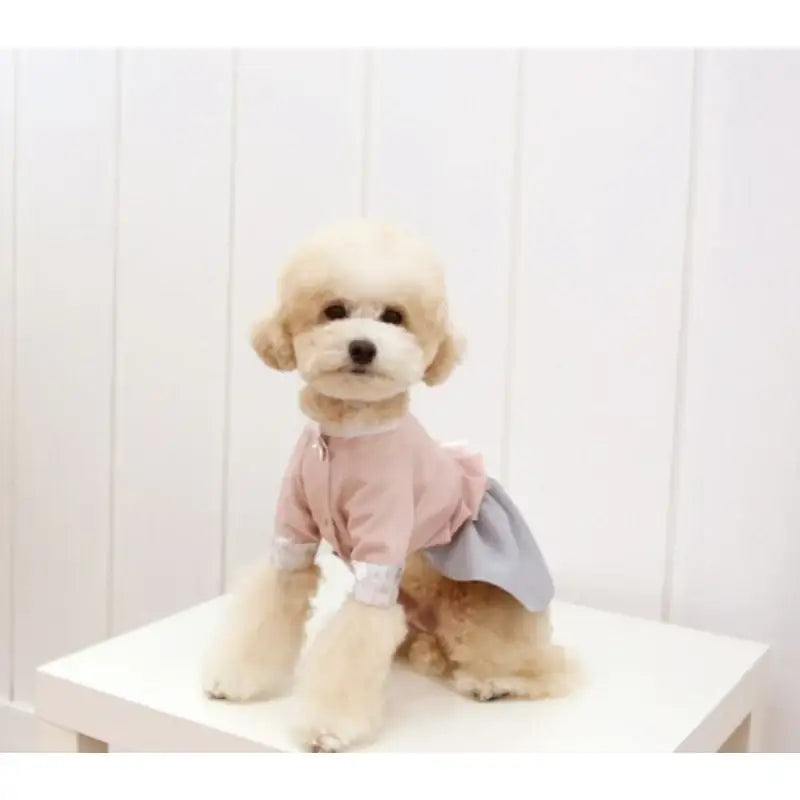 ITSDOG - Pet Danha Female Hanbok - ITSDOG - Pet Clothes - Harumio