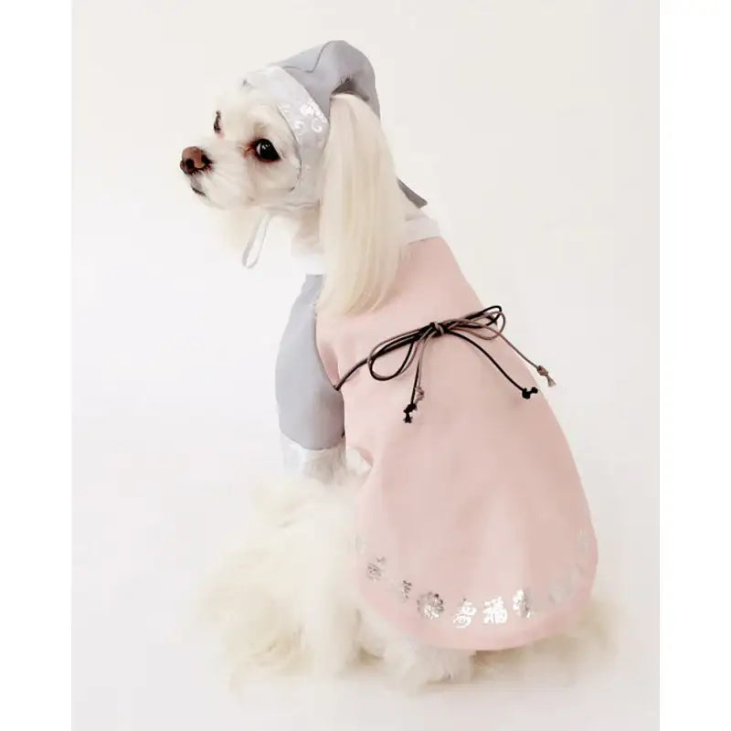 ITSDOG - Pet Danha Male Hanbok - ITSDOG - Pet Clothes - Harumio