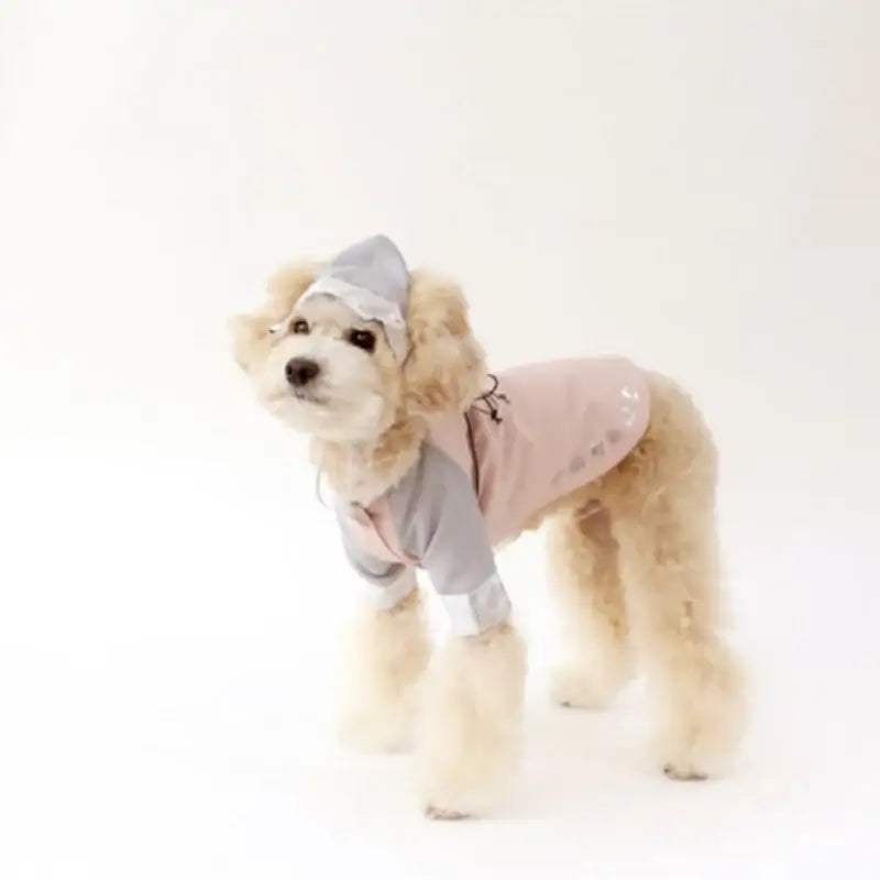 ITSDOG - Pet Danha Male Hanbok - ITSDOG - Pet Clothes - Harumio