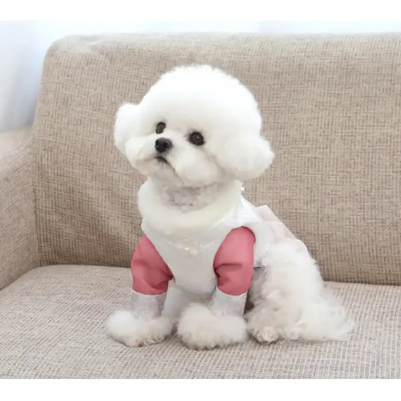 ITSDOG - Pet Princess Jimin Quilted Hanbok - ITSDOG - Pet Clothes - Harumio