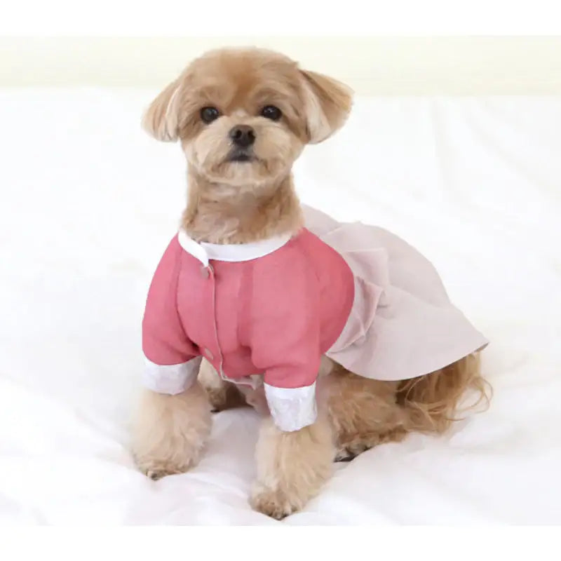 ITSDOG - Pet Princess Jimin Quilted Hanbok - ITSDOG - Pet Clothes - Harumio
