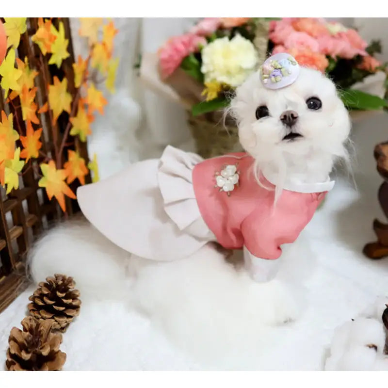 ITSDOG - Pet Princess Jimin Quilted Hanbok - ITSDOG - Pet Clothes - Harumio