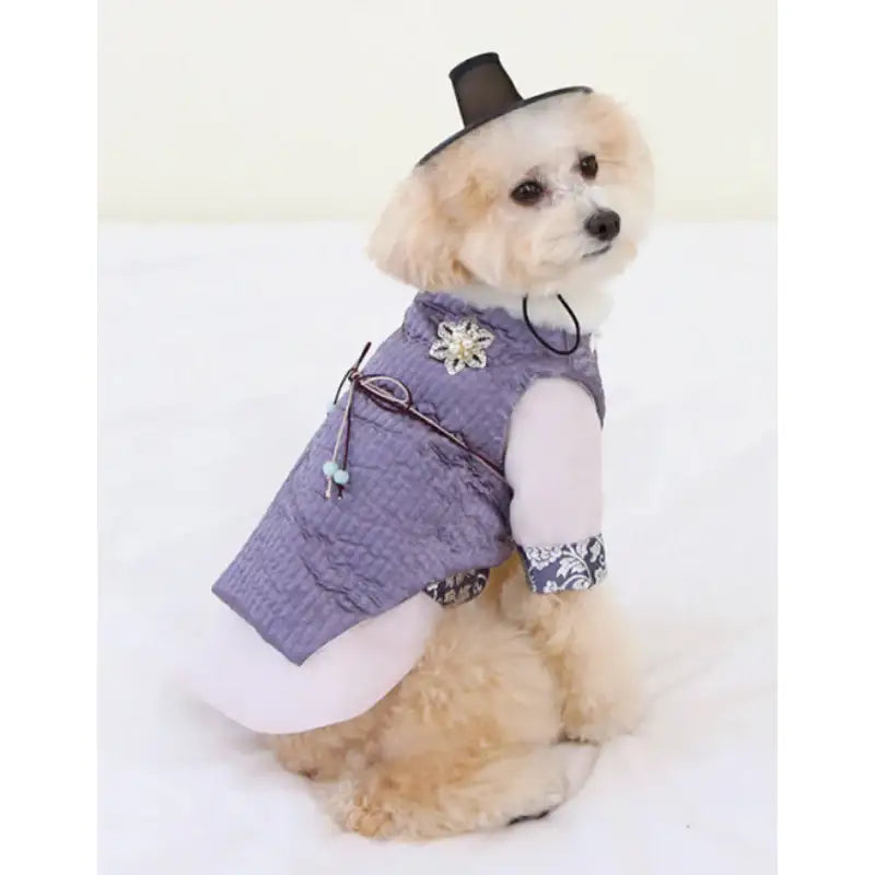 ITSDOG - Pet Prince Jihoo Quilted Hanbok - ITSDOG - Pet Clothes - Harumio