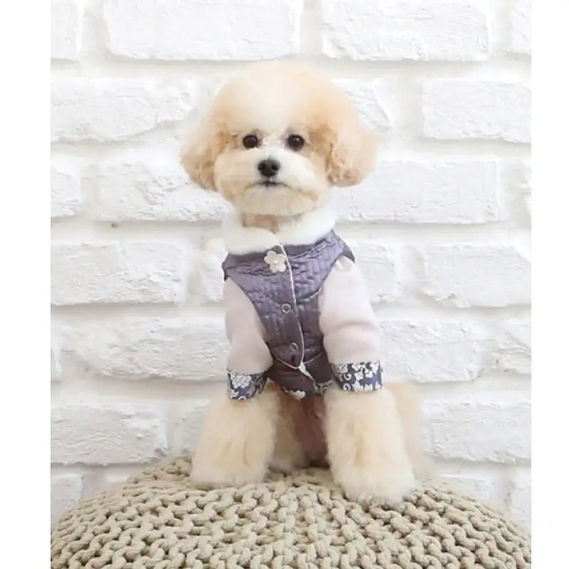 ITSDOG - Pet Prince Jihoo Quilted Hanbok - ITSDOG - Pet Clothes - Harumio