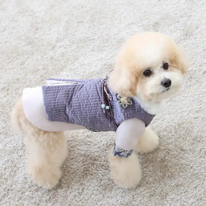 ITSDOG - Pet Prince Jihoo Quilted Hanbok - ITSDOG - Pet Clothes - Harumio
