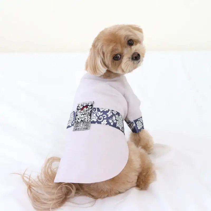 ITSDOG - Pet Prince Jihoo Quilted Hanbok - ITSDOG - Pet Clothes - Harumio