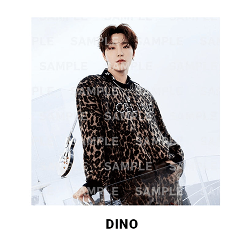 Seventeen - DREAM - Photo Canvas