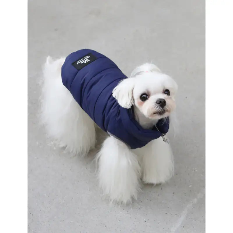 ITSDOG - Pet Padded Vest - ITSDOG - Pet Clothes - Harumio