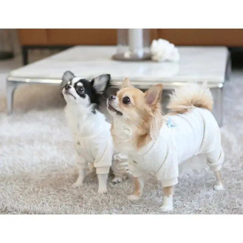 ITSDOG - Pet Organic Galaxy All In One Pajamas - ITSDOG - Pet Clothes - Harumio