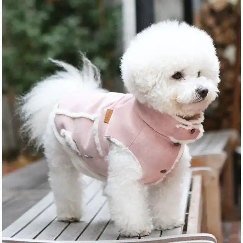 ITSDOG - Pet Snow Latte Mouton Vest - ITSDOG - Pet Clothes - Harumio