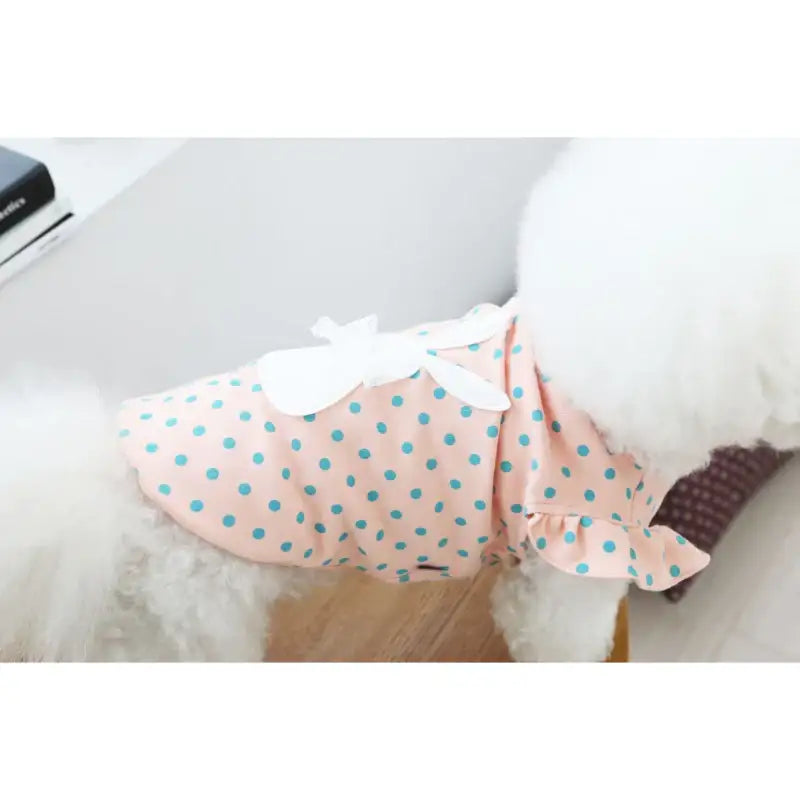 ITSDOG - Pet Sweet Day Cotton T-Shirt - ITSDOG - Pet Clothes - Harumio