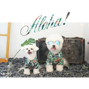 ITSDOG - Pet Aloha Hawaiian Shirt - ITSDOG - Pet Clothes - Harumio
