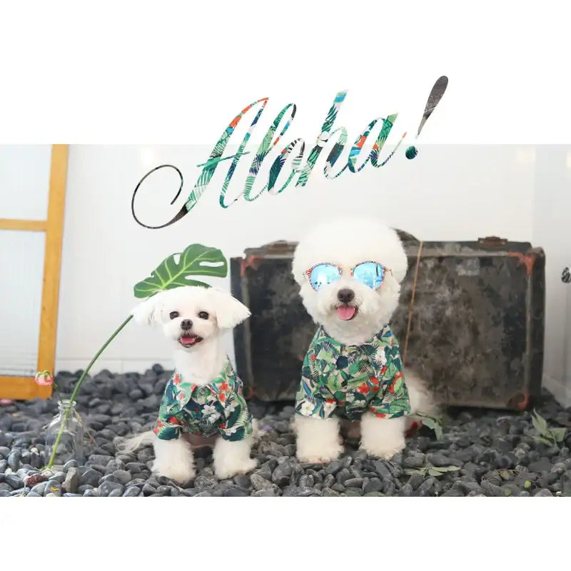 ITSDOG - Pet Aloha Hawaiian Shirt - ITSDOG - Pet Clothes - Harumio