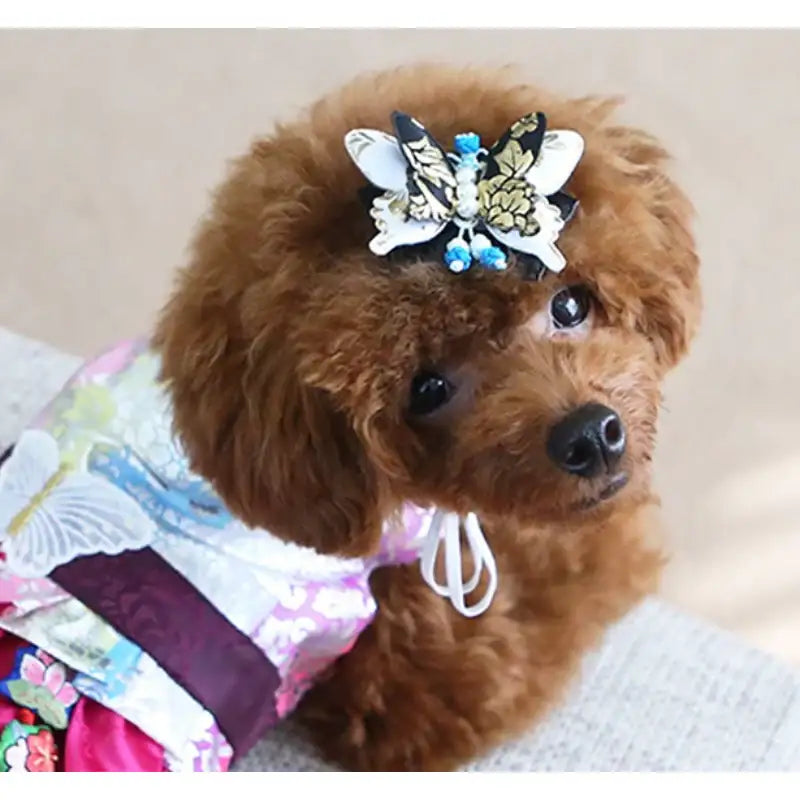 ITSDOG - Pet Butterfly Female Hanbok Headband - ITSDOG - Pet Accesories - Harumio