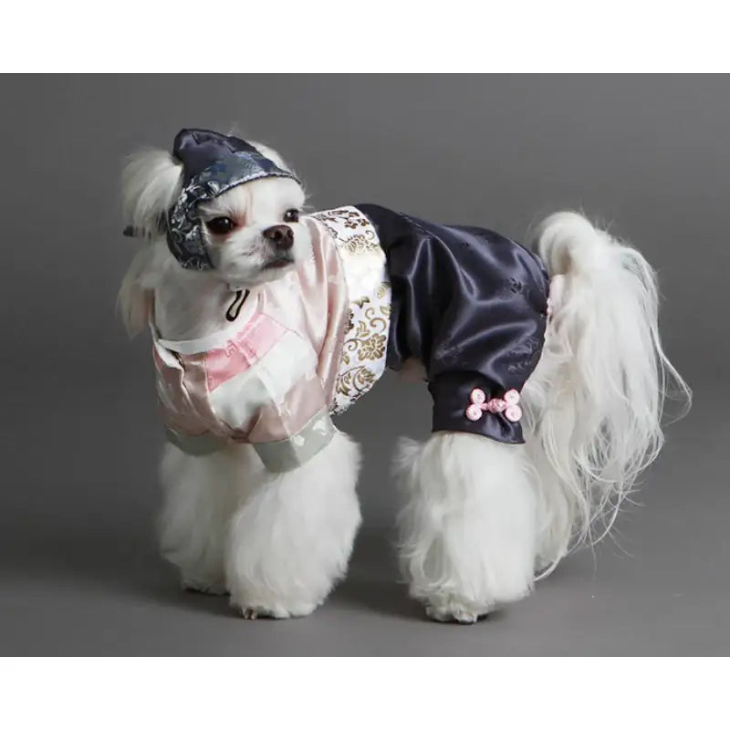 ITSDOG - Pet Pink Star Grass Prince Hanbok