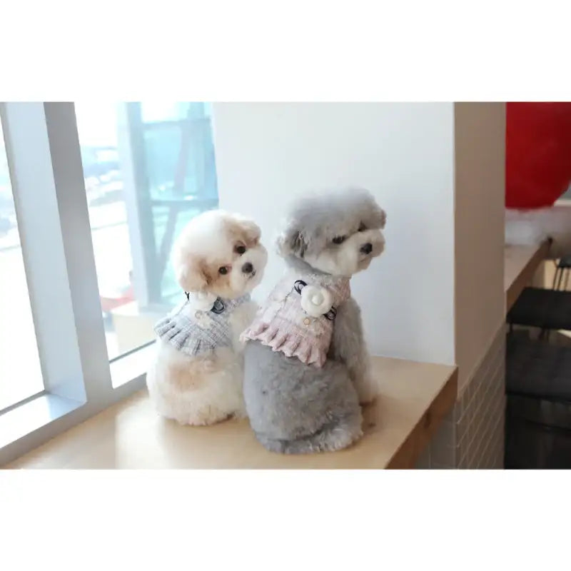 ITSDOG - Pet Camellia Tweed Harness - ITSDOG - Pet Accesories - Harumio