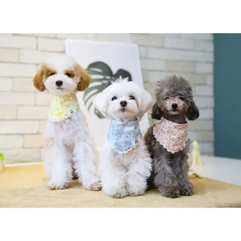 ITSDOG - Pet Blooming Scarf - ITSDOG - Pet Accesories - Harumio