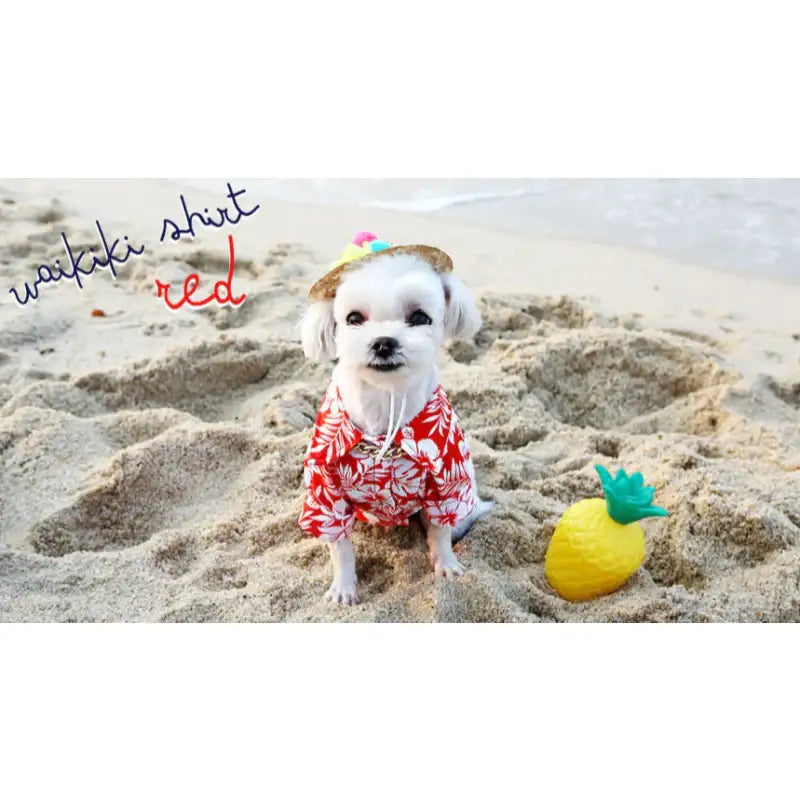 ITSDOG - Pet Waikiki Beach Shirt - ITSDOG - Pet Clothes - Harumio