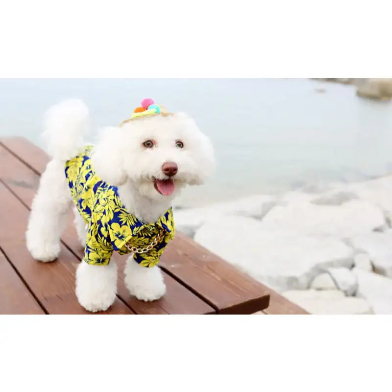 ITSDOG - Pet Waikiki Beach Shirt - ITSDOG - Pet Clothes - Harumio