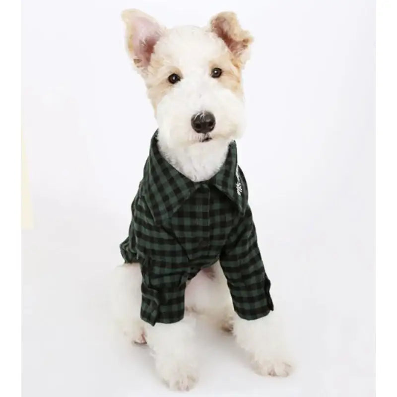 ITSDOG - Pet Gingham Checked Shirt - ITSDOG - Pet Clothes - Harumio