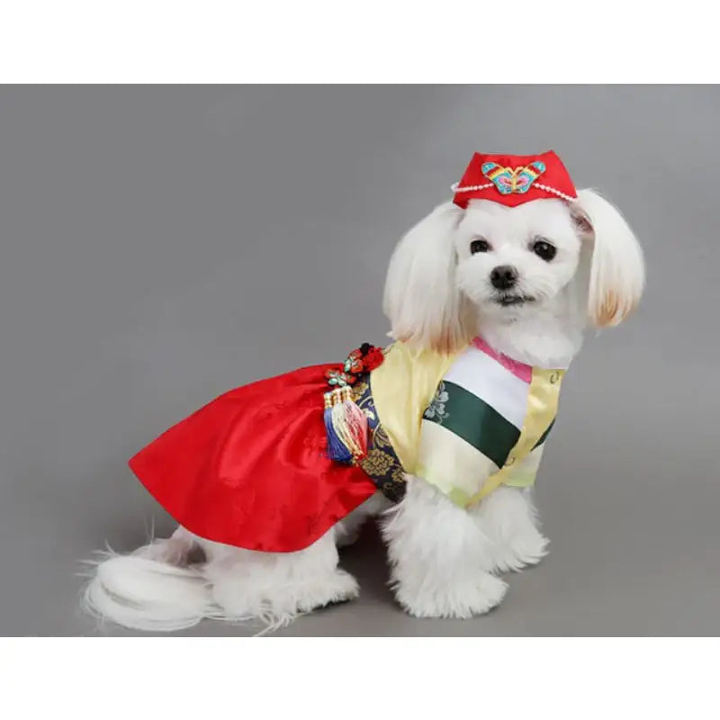 ITSDOG - Pet Ewha Colorful Striped Princess Hanbok - ITSDOG - Pet Clothes - Harumio