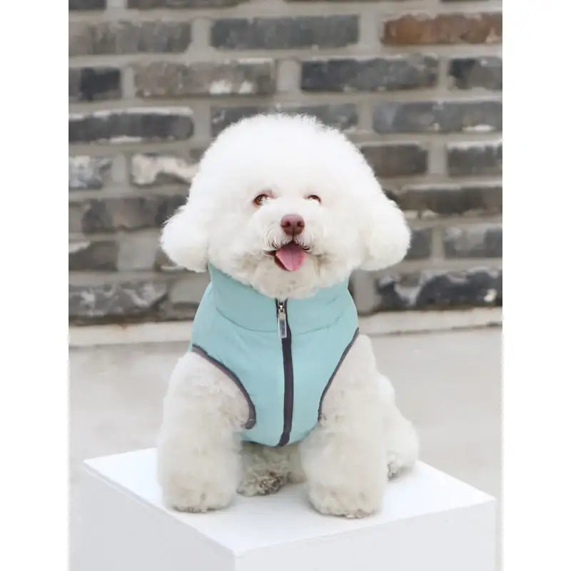 ITSDOG - Pet Padded Vest - ITSDOG - Pet Clothes - Harumio