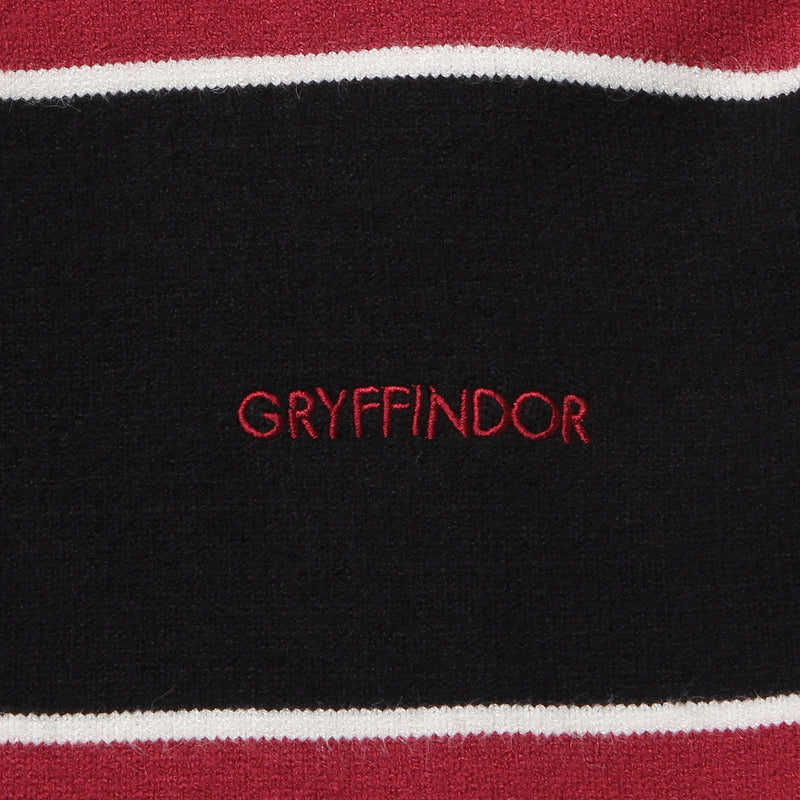 SPAO x Harry Potter - Quidditch Polo Stripe Sweater