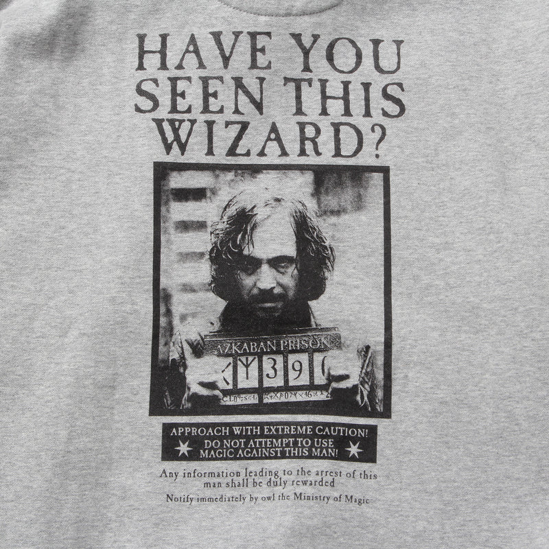 SPAO x Harry Potter - Sirius Black Hoodie Sweater