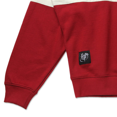 SPAO x Harry Potter - Quidditch Sweater