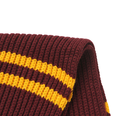 SPAO x Harry Potter - Hogwarts House Color Stripe Scarves