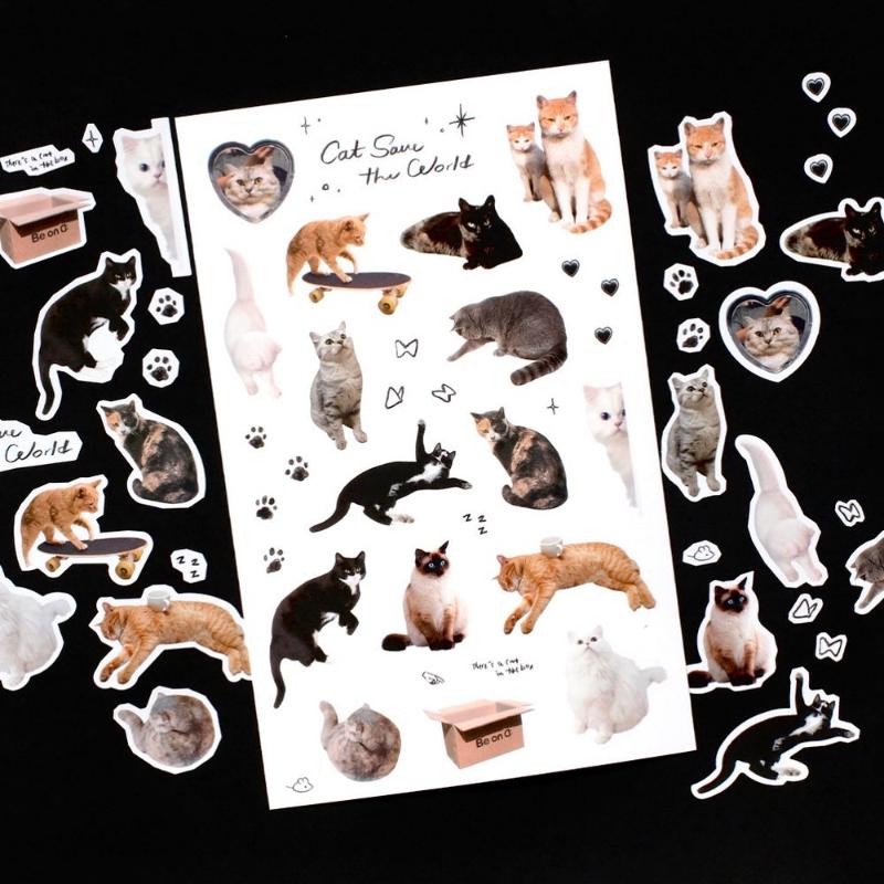 Be On D - Object Cat Sticker