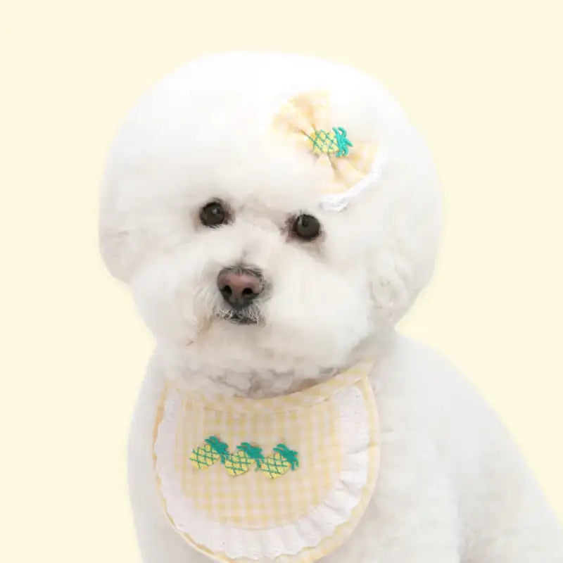 ITSDOG - Pet Fruit Bong Bong Hairpin - ITSDOG - Pet Accesories - Harumio