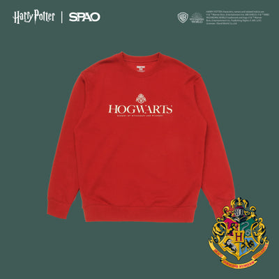 SPAO x Harry Potter - Hogwarts School Sweater